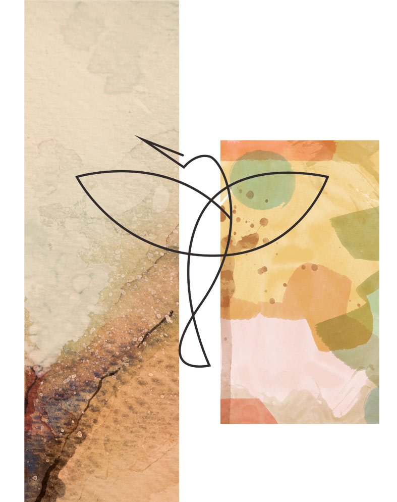 Colibri-Psychologie-Sarah-Wilms-Homepage-Welcome
